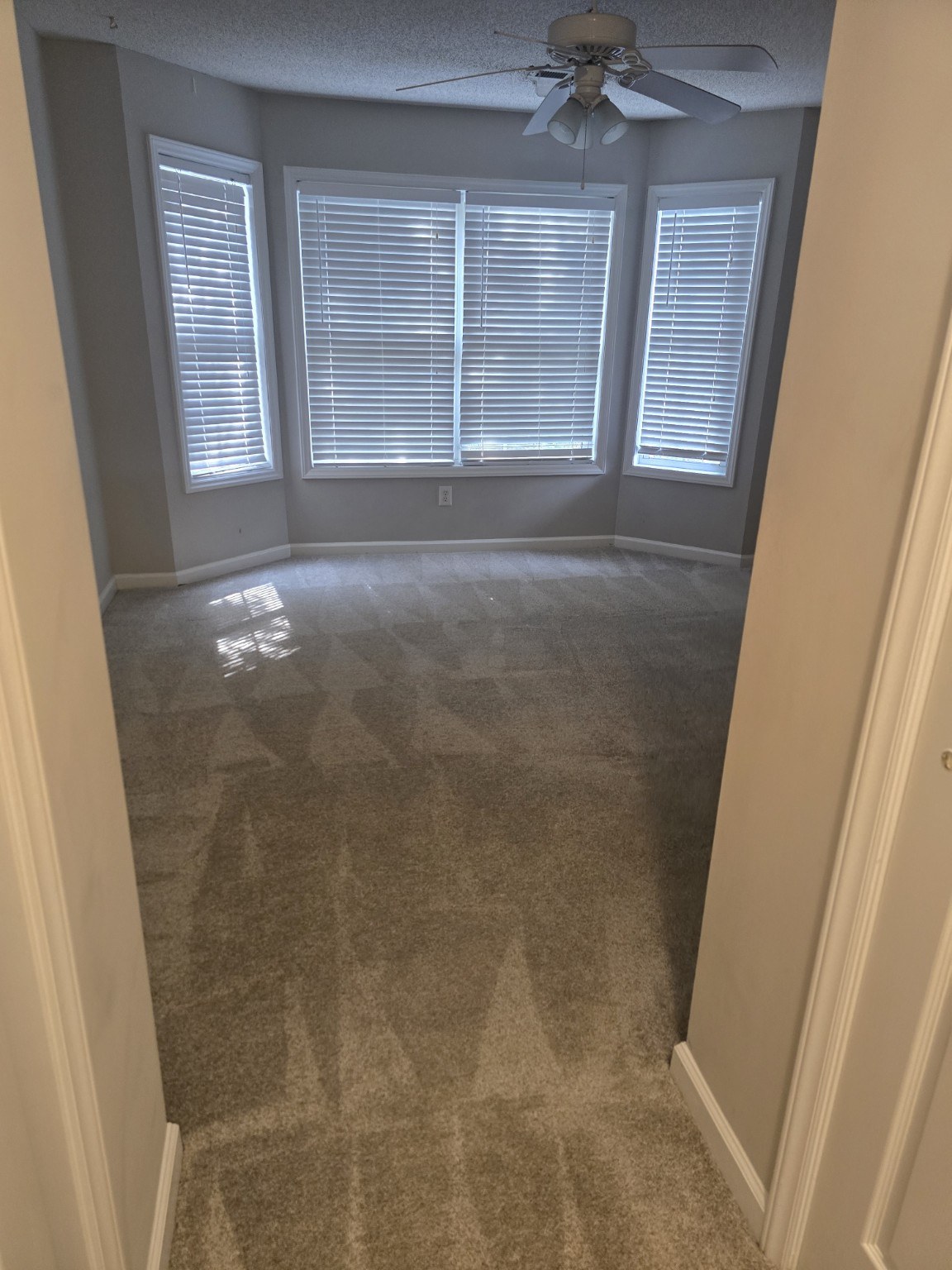 Freshly cleaned carpet room
