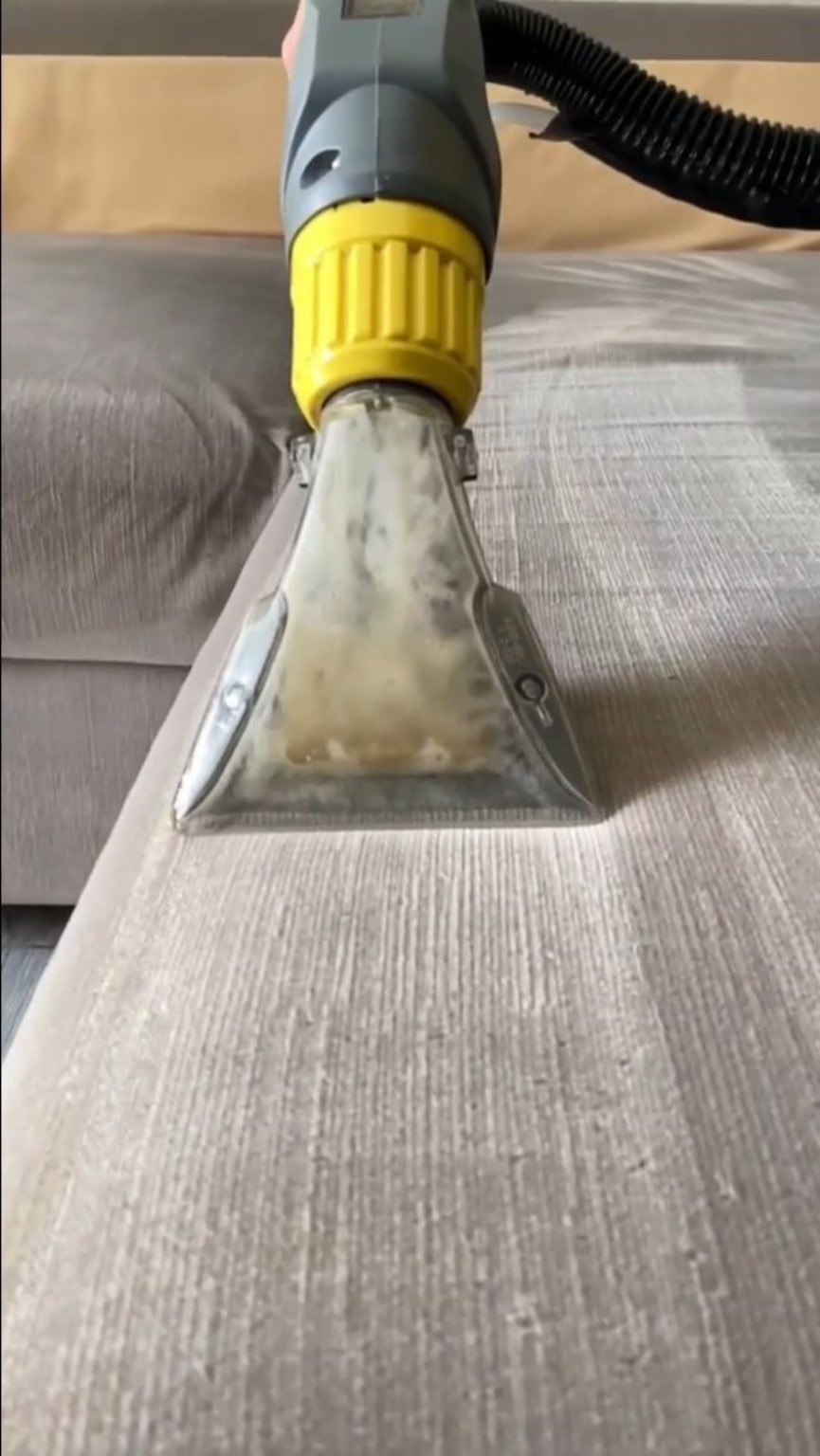 Extractor cleaning a sofa cushion
